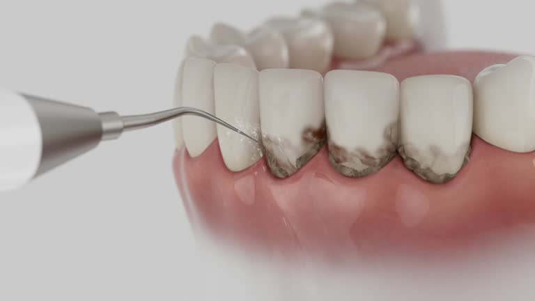 Reliable Dental contractor in Ellport, PA by Dentist Open Now
